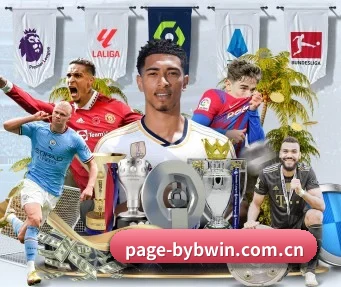 page-bybwin.com.cn APP